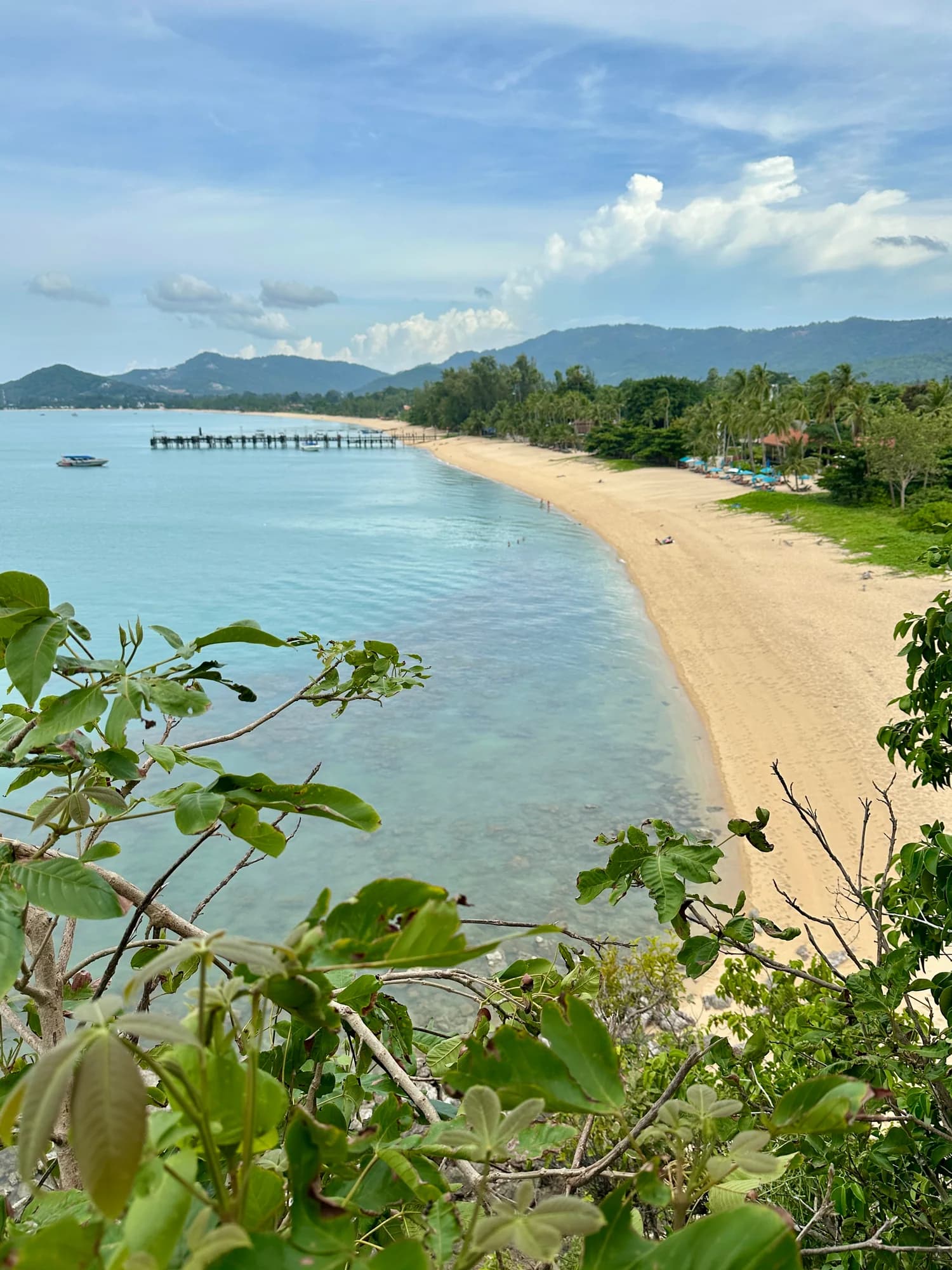 Mae Nam beach from a viewpoint, with palms and the bay